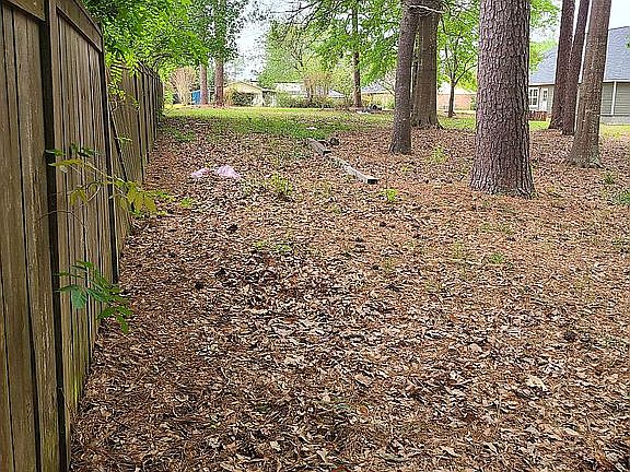 3rd image of 107 Sherwood Forest Dr