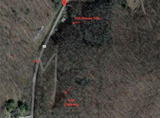 902 Obrion Rd, Duck, WV 25063