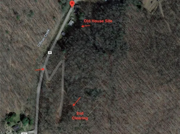 902 Obrion Rd, Duck, WV 25063