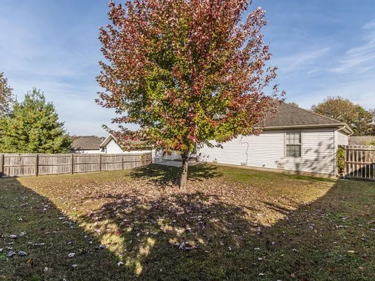 Fenced backyard