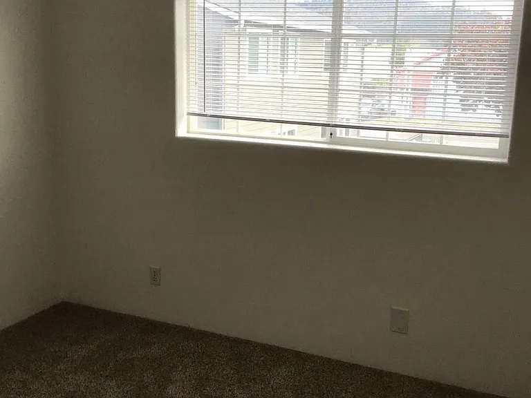 Main — Photo 13