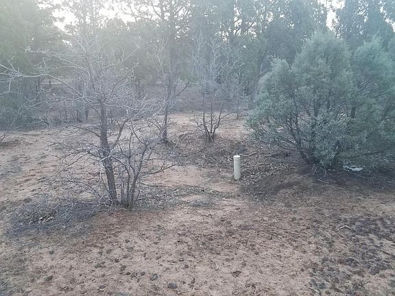 4th image of 6650 Bandido Way