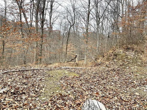 0 Left Frk, East Lynn, WV 25512
