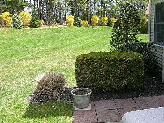 5th image of 2342 N Chanticleer Ct