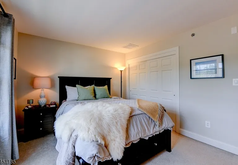 50 Bloomfield Ave #50 — Photo 18