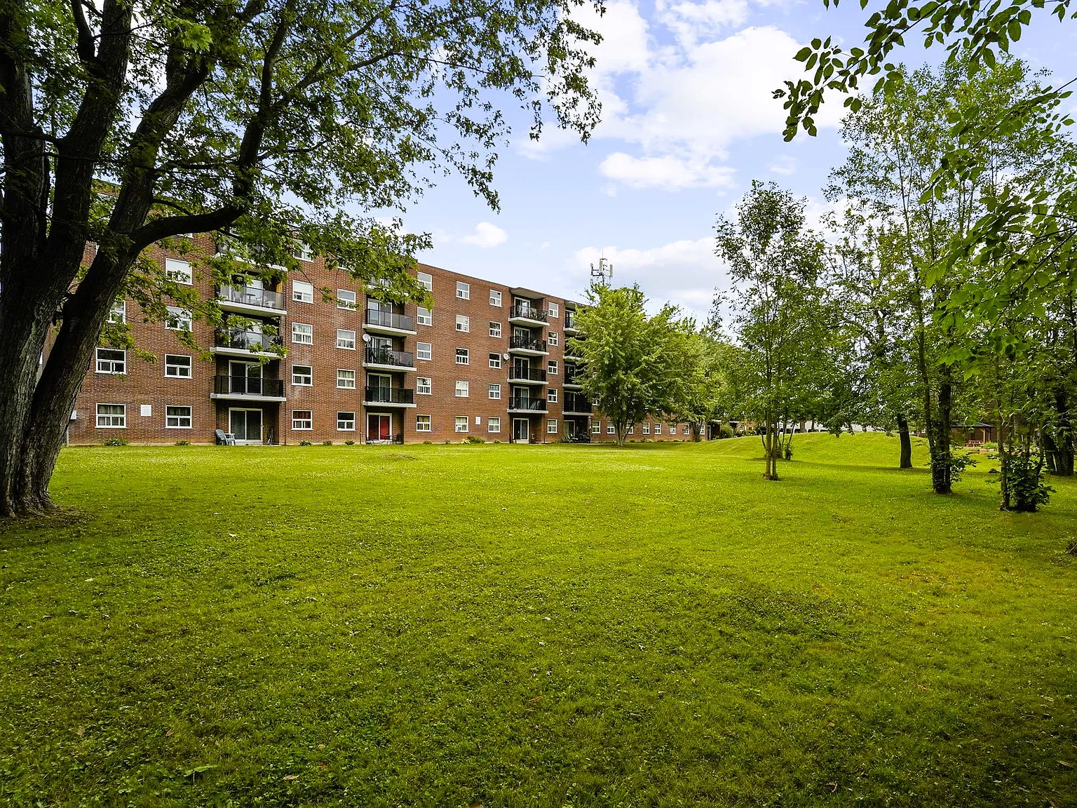 Town Apartments — Photo 4