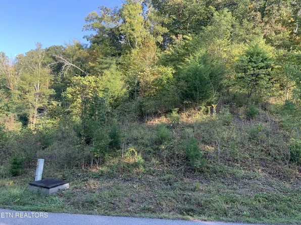 0 Russell Brothers Rd Lot 732, Sharps Chapel, TN 37866