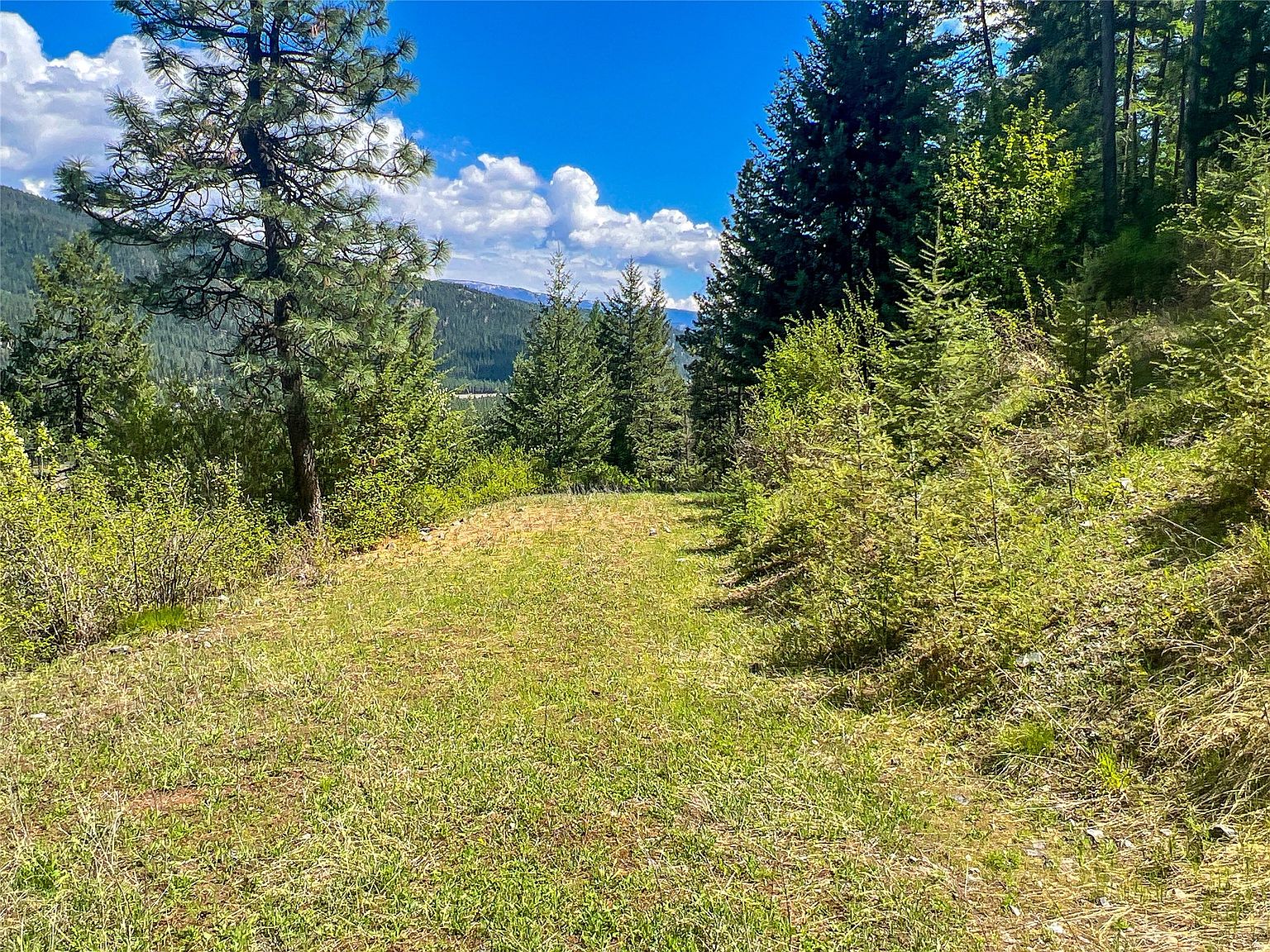 Nhn West Side Trout Creek Rd, Superior, MT 59872 MLS 30022834 Zillow