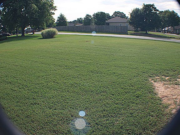 Side yard
