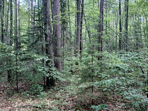 4th image of Bills Lake Rd