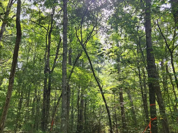 0 Rocky Point, Crossville, TN 38571