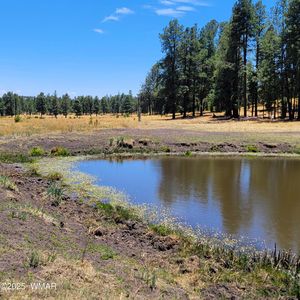 Stone Creek Road Cres #2117, Alpine, AZ, 85920