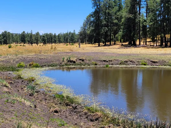 Stone Creek Road Cres #2117, Alpine, AZ 85920