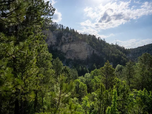 20582 Whitewood Creek Rd, Deadwood, SD 57732