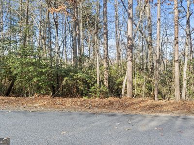 1328 Orchard Creek Dr, Clarkesville, GA, 30523
