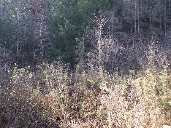 4th image of 00 Highway 378 Middle Frk