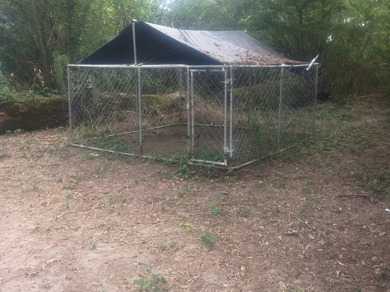 107 Grant 446 — Photo 90