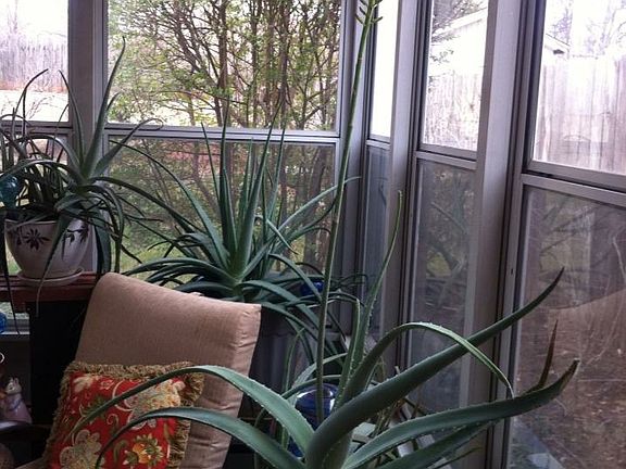 Sunroom