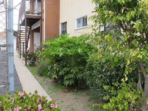 3rd image of 12321 Washington Pl #D