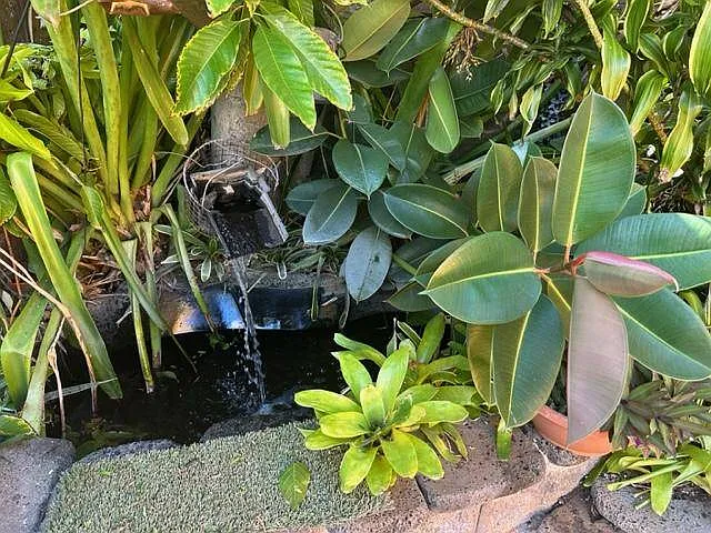 Sierra Dr — Photo 1