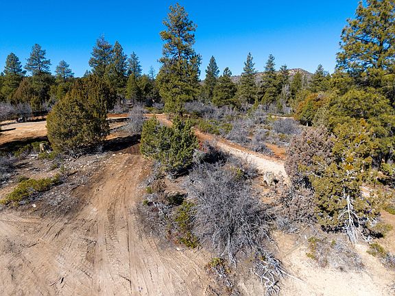 5th image of N Pine St