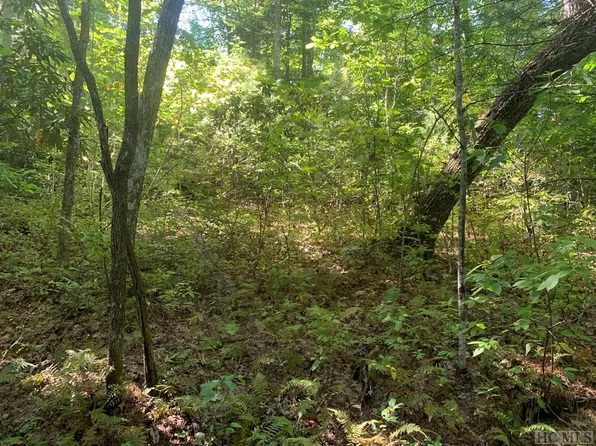 65 W Christy Trl, Cashiers, NC 28774