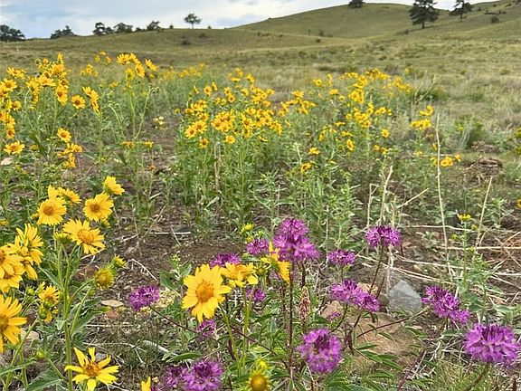 3rd image of 391 Gulch Road