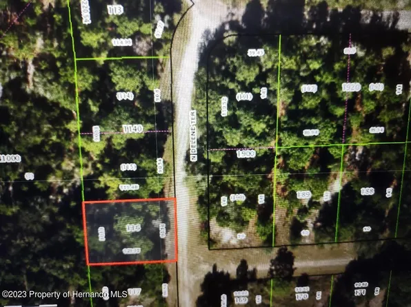 8918 N Delene Ter, Crystal River, FL 34428