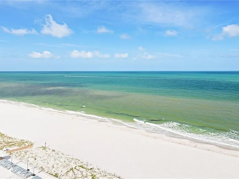 3443 Gulf Shore Blvd N #803 — Photo 20