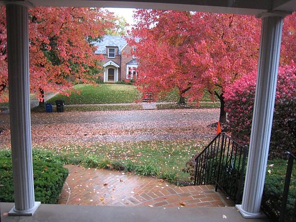 View from front porch