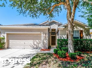 313 Down Pine Dr, Seffner, FL 33584