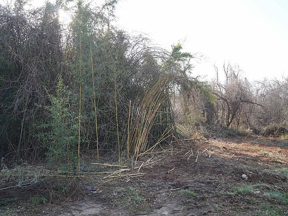 3rd image of 77 S Silver Lake Dr