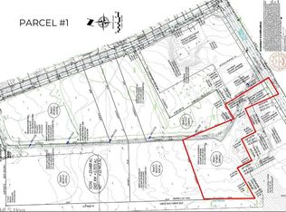 PARCEL 1 S Ridge Rd, Perry, OH 44081