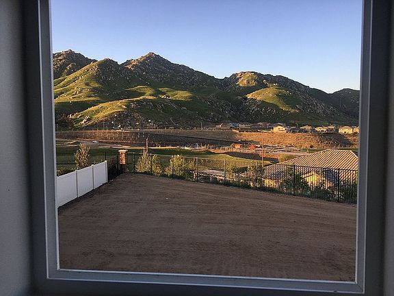 Backyard Window View