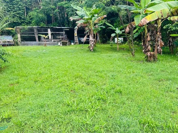 State Highway 647, Vega Alta, PR 00692