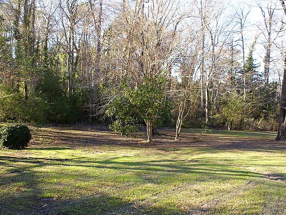 Another of the back yard