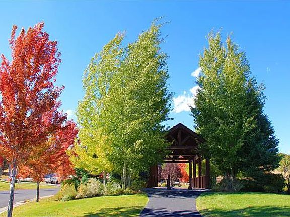 Covered bridge & path