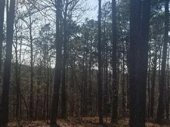 LOT 1 Quail Run Dr, Malvern, AR 72104