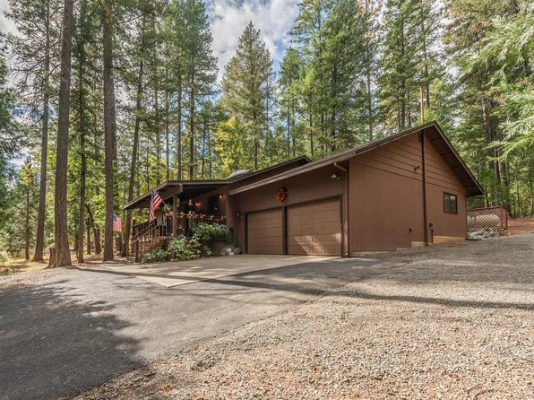 221 Trinity Mdws, Trinity Center, CA 96091