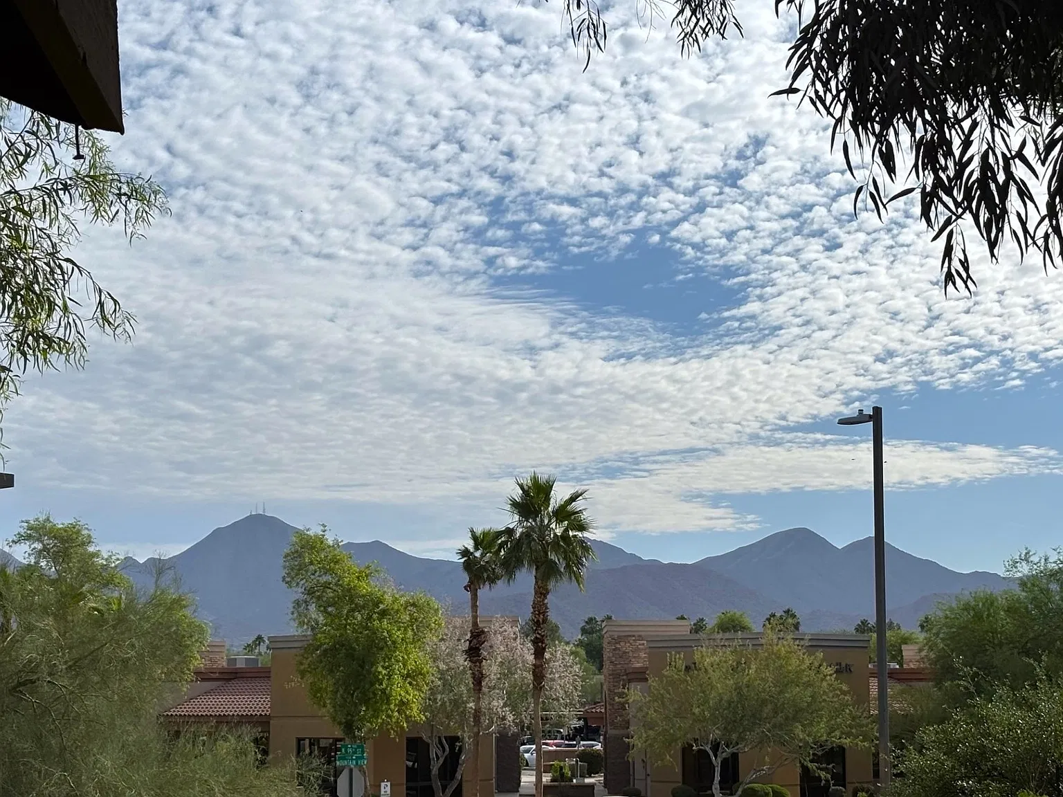 3 bed, 1496 sqft, $2,400 — Photo 3
