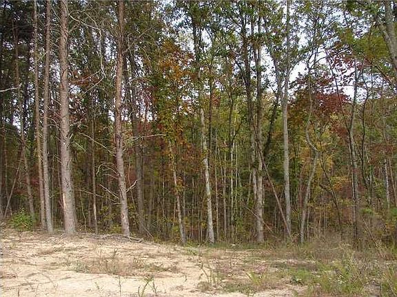 cleared area on property