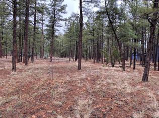 211 S 30th Ave, Show Low, AZ 85901