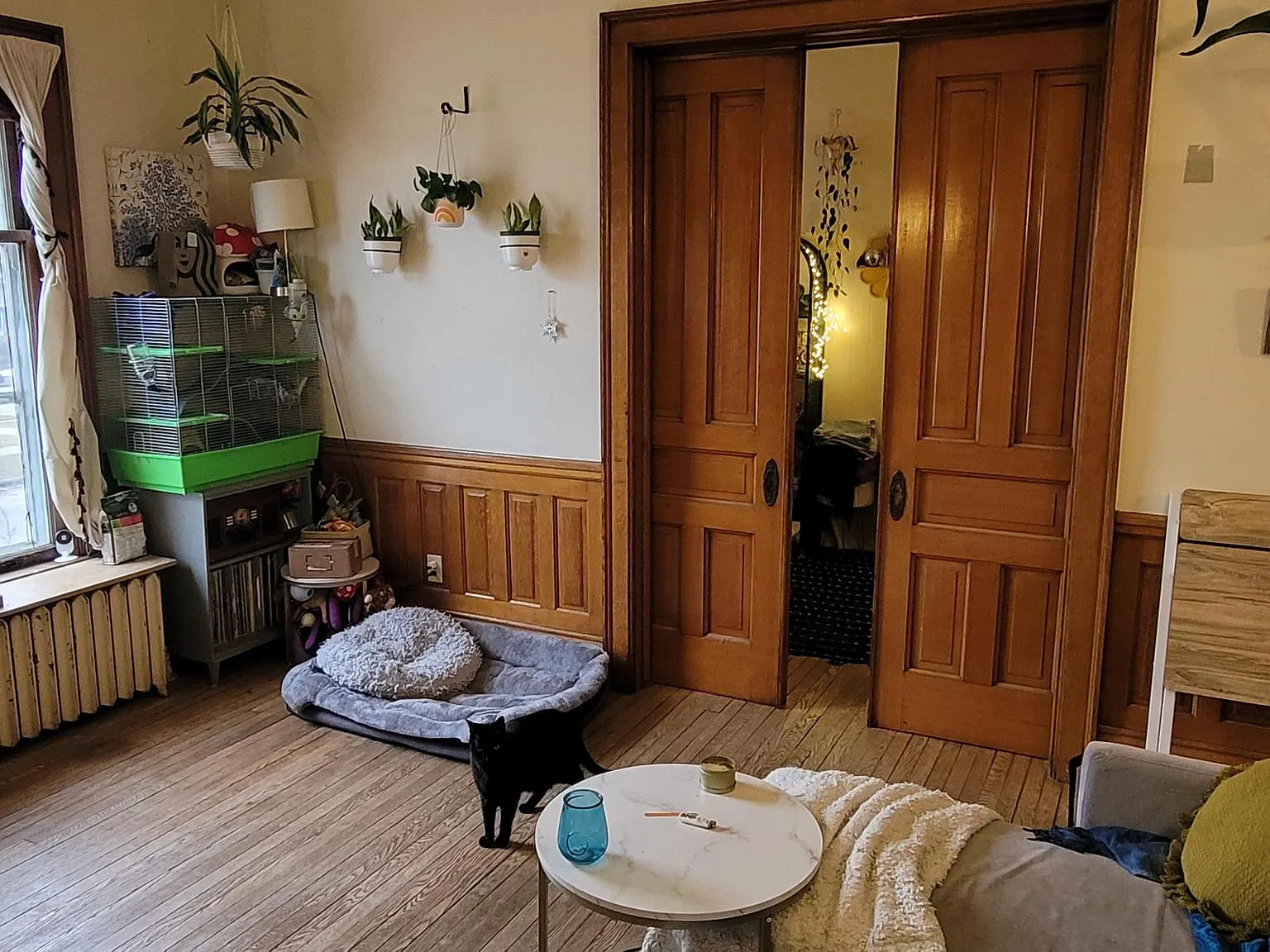 1 bed, 1000 sqft, $1,195 — Photo 4