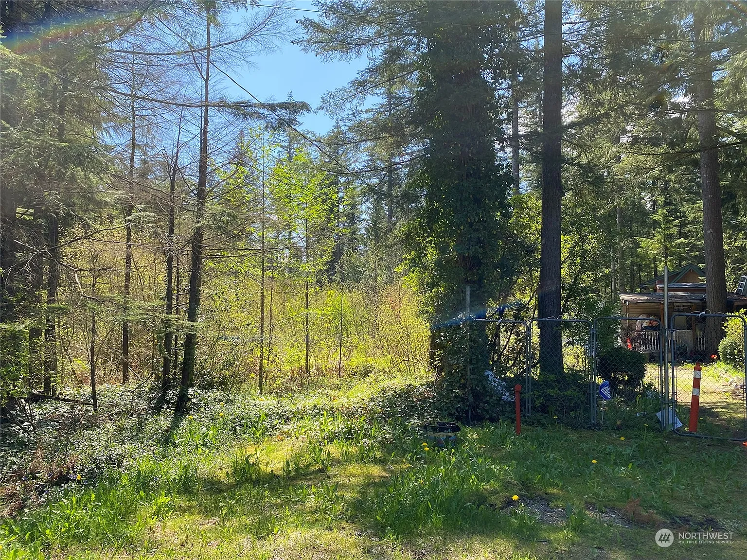 6173 Bellwood Drive photo 1