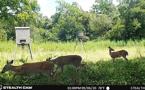 3rd image of 6220 County Road 707
