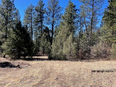 Cuchilla Blanca Rd, Pecos, NM, 87552