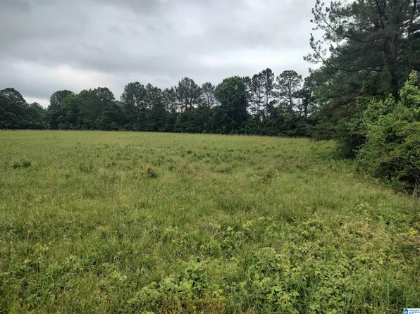 0 Coosa County Road 150 #0, Sylacauga, AL 35151