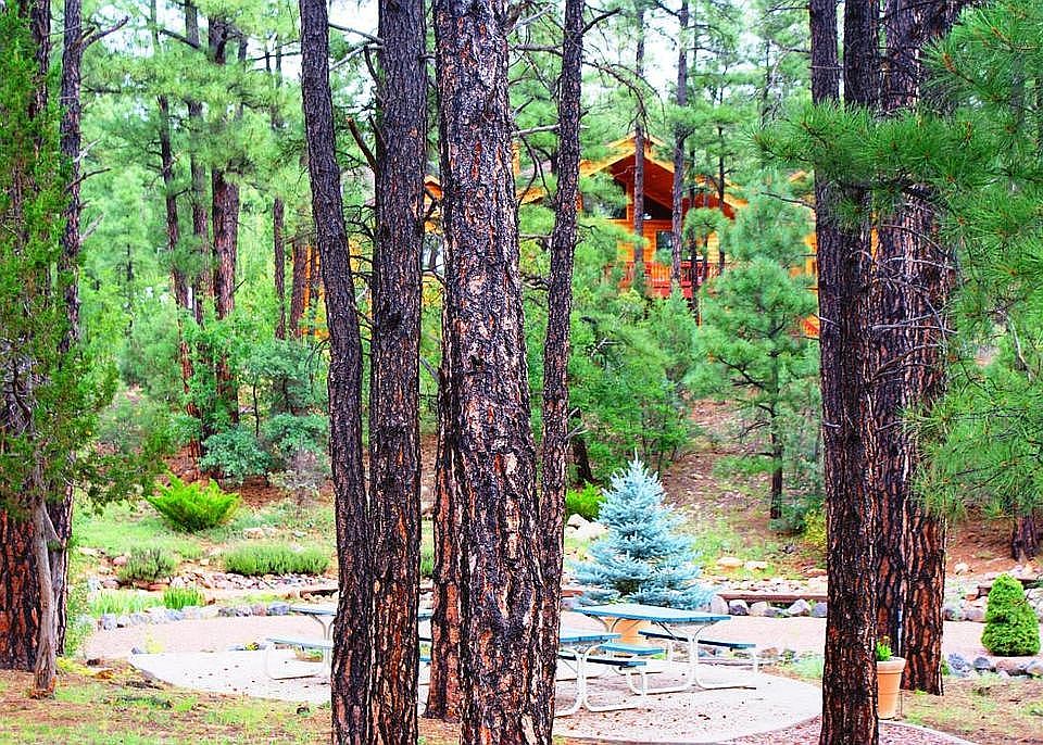 backyard common area