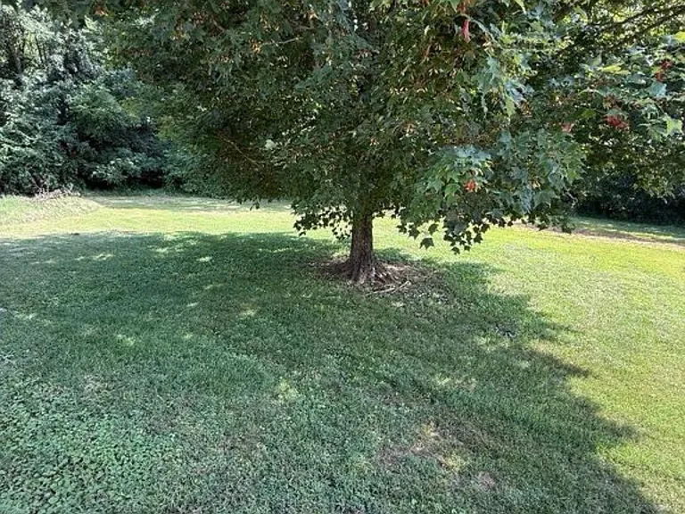 625 Greens Crossing Rd — Photo 8