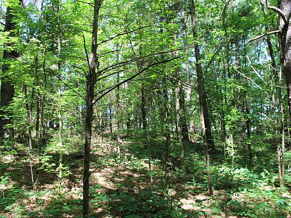 2nd image of 0 Indian Creek Road